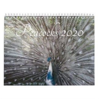 Calendrier de Peacock