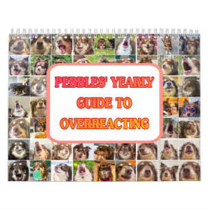 Calendrier de Pebbles