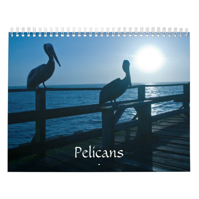Calendrier de pélican (Protection)