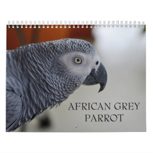 Calendrier de perroquet de gris africain du Congo