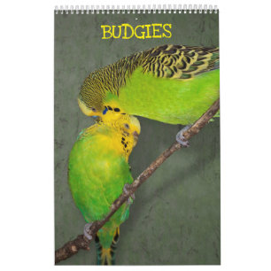 Calendrier de Perruches