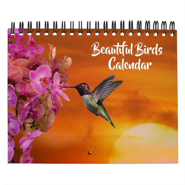 Calendrier de Petits Oiseaux Beaux (Protection)