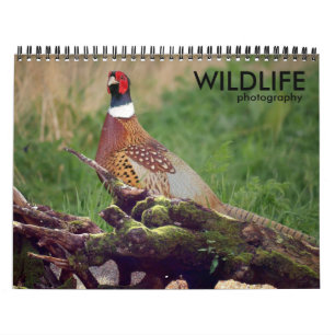 Calendrier de photographie de la faune