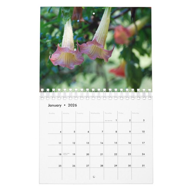 Calendrier de photographie de nature (Jan 2026)