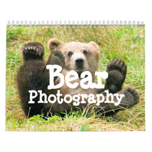 Calendrier de photographie d'ours