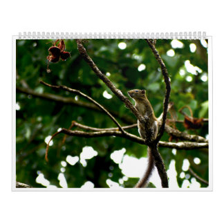 Calendrier de photographie faunique 2027