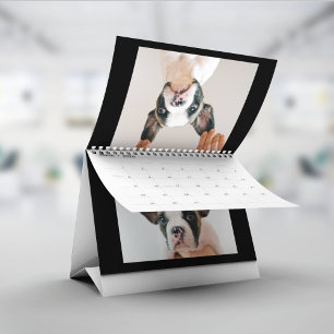 Calendrier de photos de compagnie d'animalerie noi