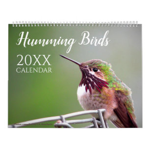 Calendrier de photos de nature et de faune d'oisea