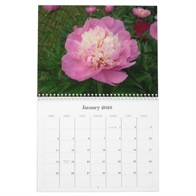 Calendrier de pivoine août 2007-juillet 2008 (Jan 2026)