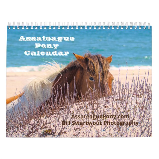 Calendrier de pony Assateague (Protection)