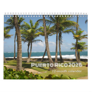 Calendrier de Porto Rico sur 12 Mois 2026