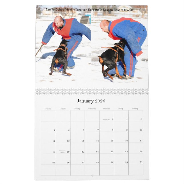 Calendrier de protection de Dobes de famille (Jan 2026)