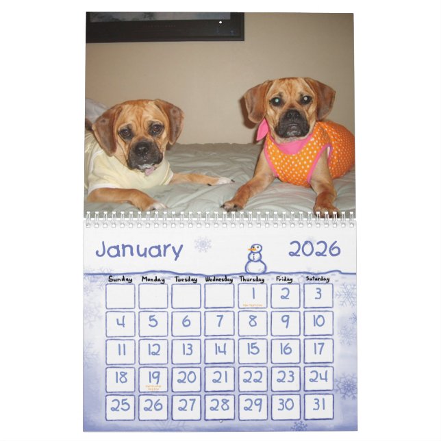 Calendrier de Puggle (Jan 2026)