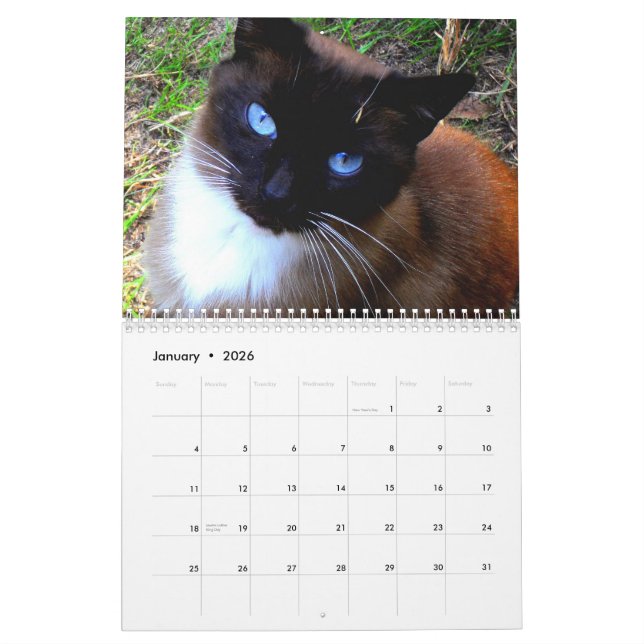 Calendrier "de ranch de Caboodle" (Jan 2026)
