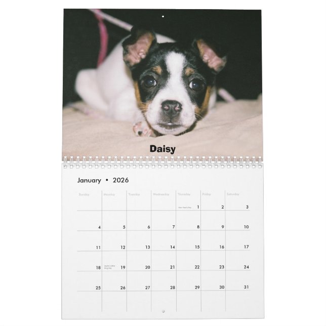Calendrier de Rat terrier (Jan 2026)