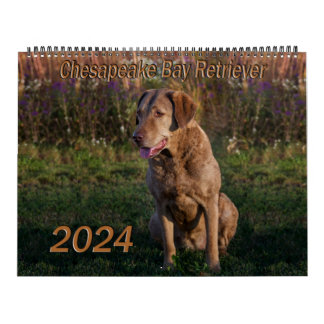 Calendrier de recherche de la baie de Chesapeake 2