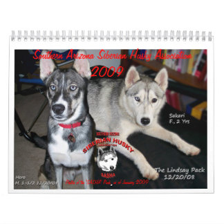 Calendrier de SASHA 2009