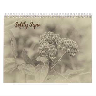 Calendrier de Sepia