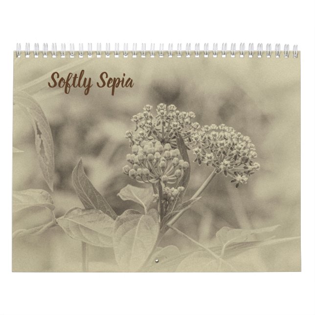 Calendrier de Sepia (Protection)
