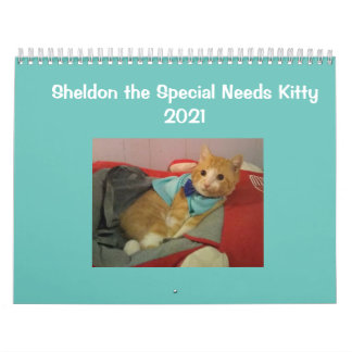 Calendrier de Sheldon 2021