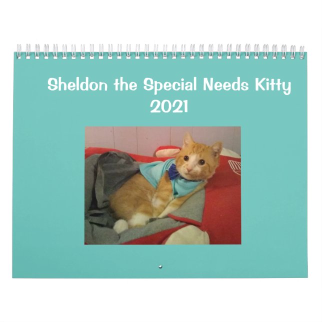 Calendrier de Sheldon 2021 (Protection)
