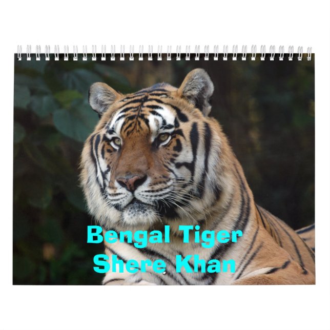 Calendrier de Shere-Khan, Bengale TigerShere Khan (Protection)
