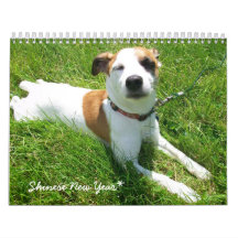 Calendrier de Shinese