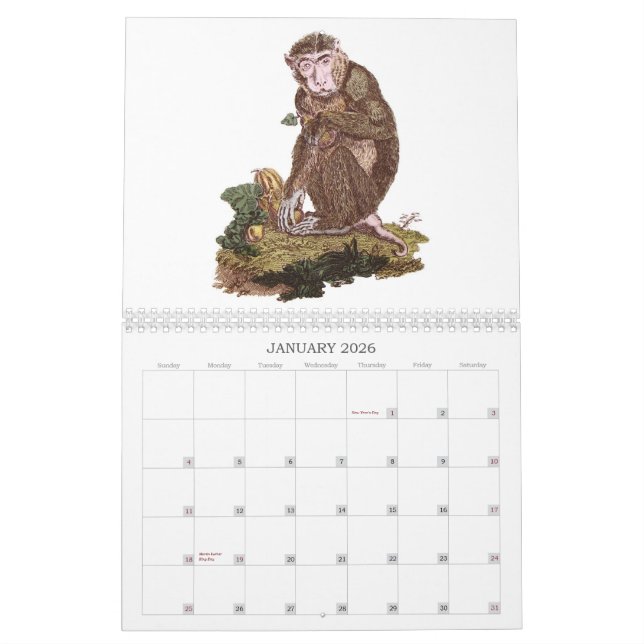 Calendrier de singe (Jan 2026)