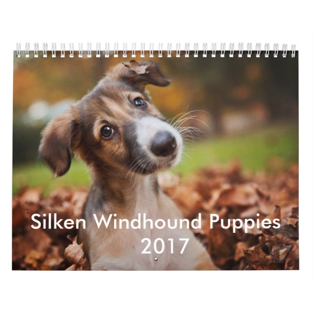 Calendrier de soie 2017 de chiot (Protection)