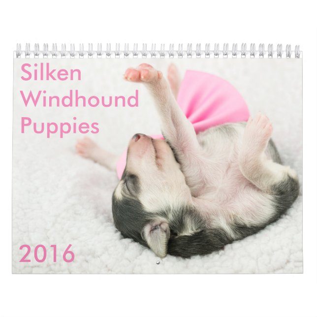calendrier de soie de 5 2016 chiots de Windhound (Protection)