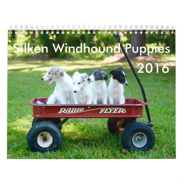 calendrier de soie de 6 2016 chiots de Windhound (Protection)