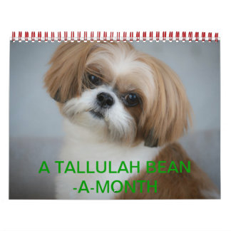 Calendrier de Tallulah Bean Cute Shih Tzu 2014