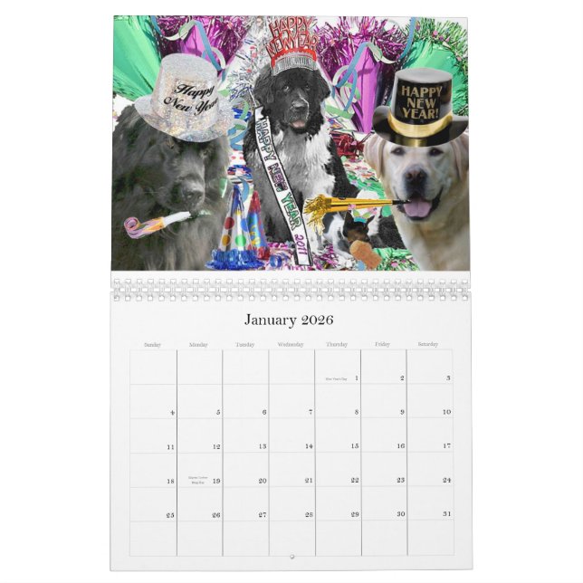 Calendrier de Terre-Neuve (Jan 2026)