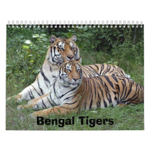 Calendrier de tigres de Bengale, tigres de Bengale
