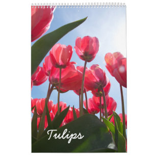 Calendrier de tulipe