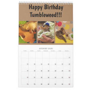 Calendrier de Tumbleweed 2020