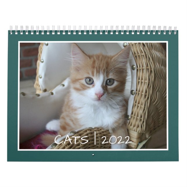 Calendrier de vie de chat (Protection)