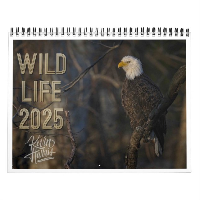 Calendrier de Wildlife 2025 par Kevin Harris (Protection)