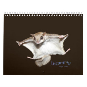 Calendrier d'écureuils de vol