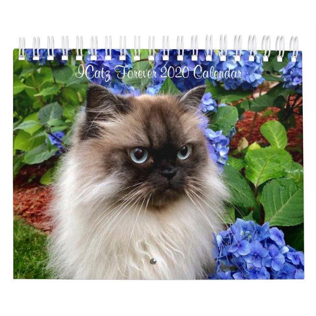 Calendrier d'équipe ICatz Forever 2020 (Protection)