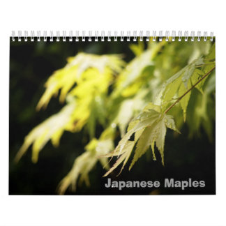 Calendrier d'érable japonais