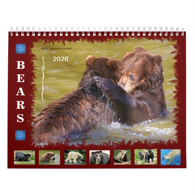 Calendrier des 12 mois divers ours (Protection)