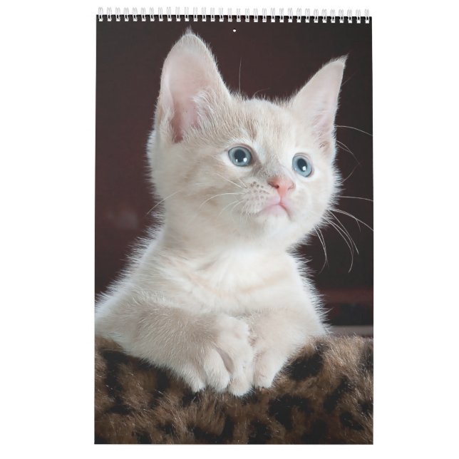 Calendrier des amants de chats (Dos)