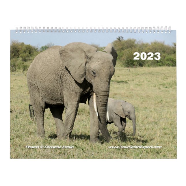 Calendrier des animaux d'Afrique de l'Est (deux pa (Protection)