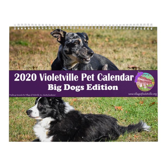 Calendrier des animaux de compagnie de Violetville (Protection)