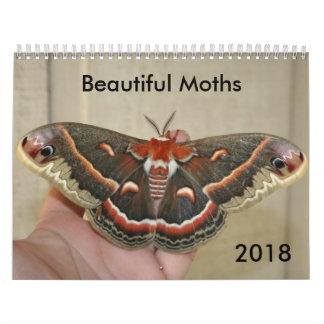 Calendrier des beaux papillons de nuit 2018