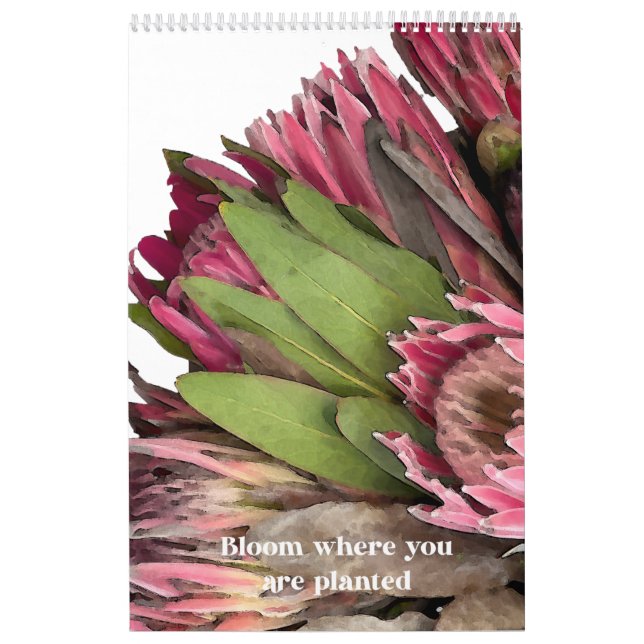 Calendrier des bouquets Protea (Protection)