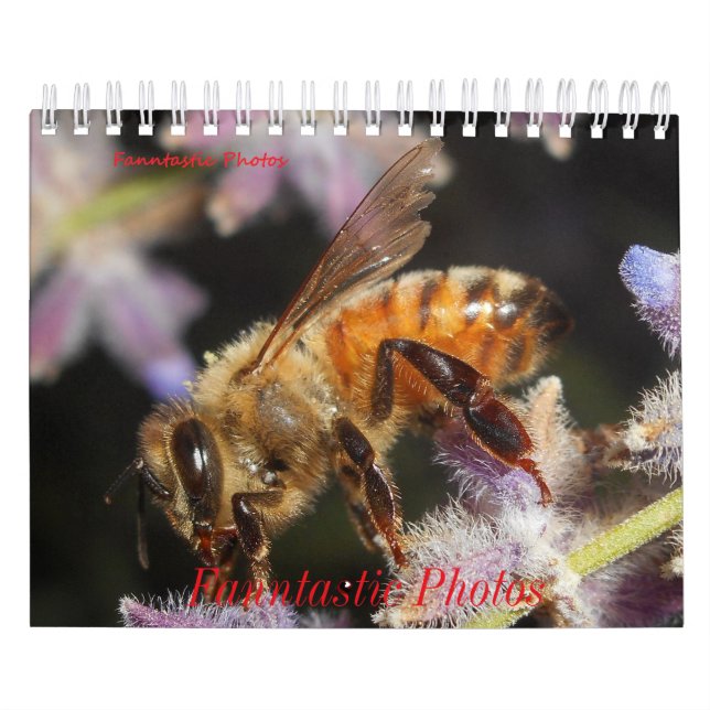 Calendrier des Bugs et Fleurs (Protection)