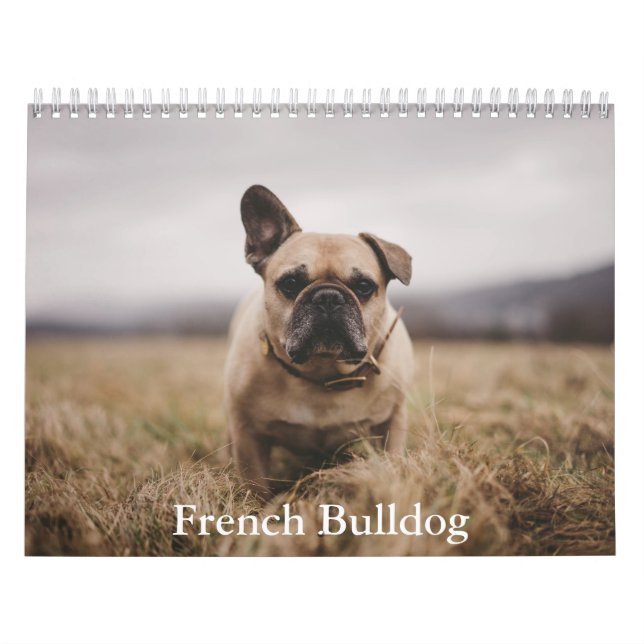 Calendrier des Bulldog français (Protection)