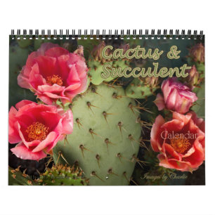 Calendrier des cactus et des fleurs succulentes 20